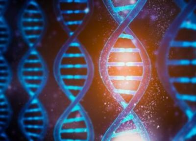 شناسایی ژن ایجادکننده سندروم نوعی اختلال اسکلتی توسط محققان کشور