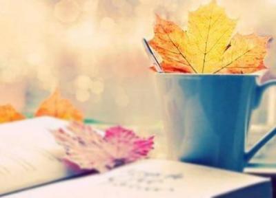 19 اس ام اس پاییز عاشقانه، ادبی و زیبا بسیار زیبا و خواندنی