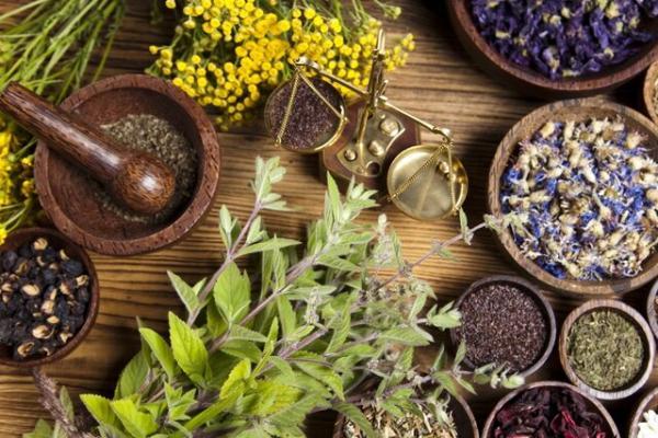 گیاهان دارویی؛ اقتصاد نهفته در لرستان گیاهان دارویی؛ اقتصاد نهفته در لرستان