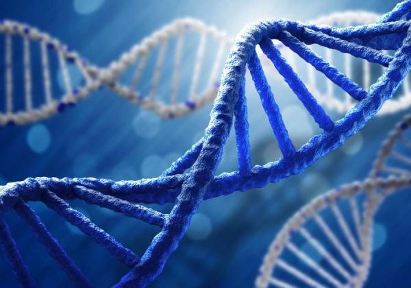 حمل ترکیبات دارویی در بدن با نانوساختار های قابل برنامه ریزی از جنس DNA