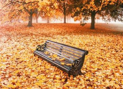 قاب های جادویی پاییز: روایت زیبایی های طبیعت در فصل طلایی
